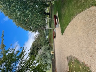 Gravel path with two benches and greenery beside the lake